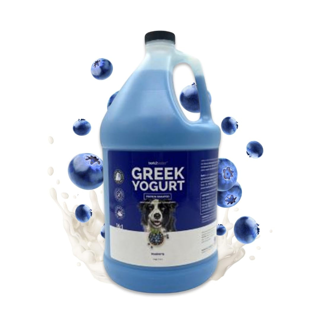 Blueberry Greek Yogurt Protein Pet Shampoo 1 Gallon L966