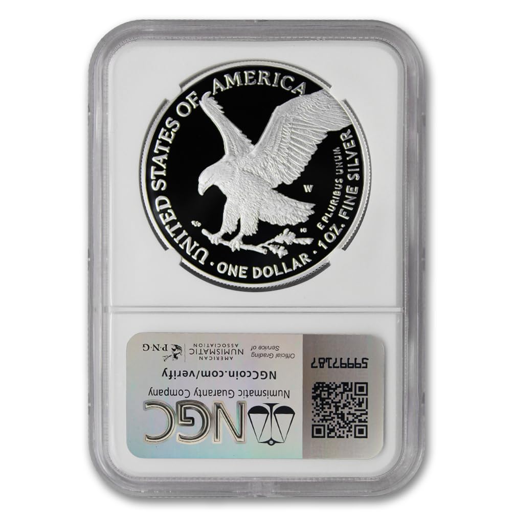 1 oz American Silver Eagle Coin Q9289