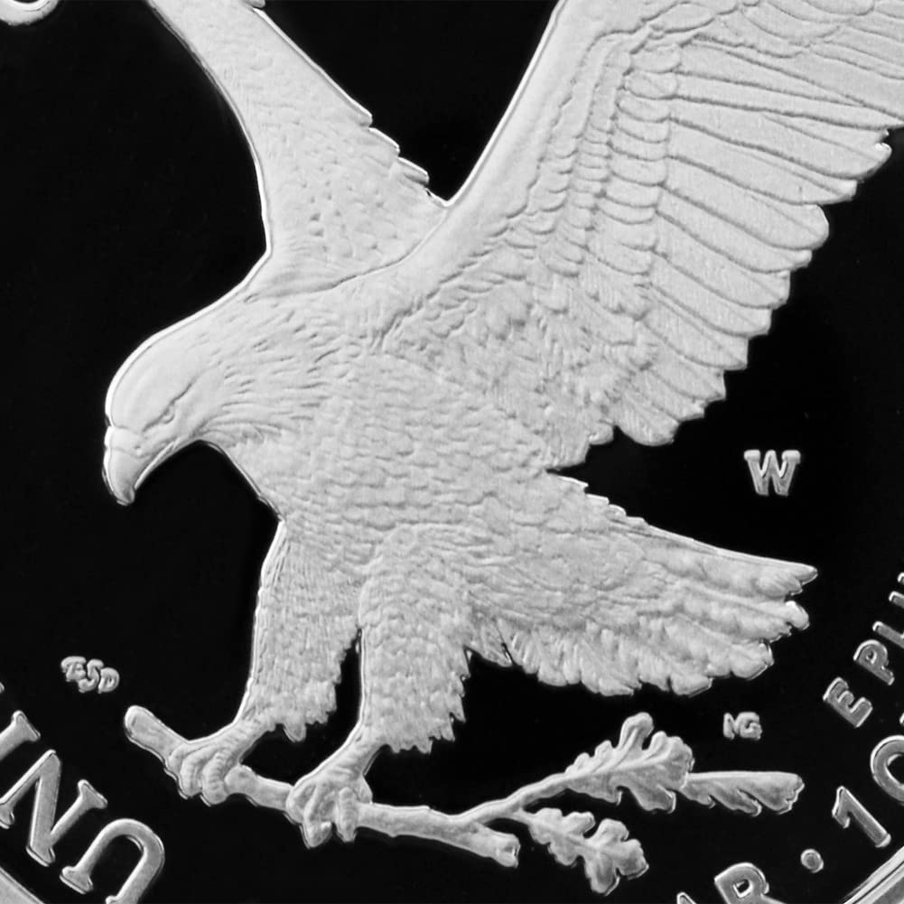 1 oz American Silver Eagle Coin Q9289