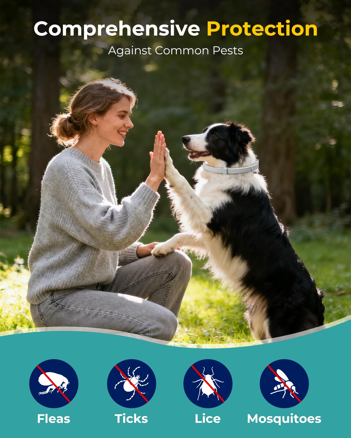 4 Pack Flea and Tick Collar for Small Dogs Under 18 lbs R7772