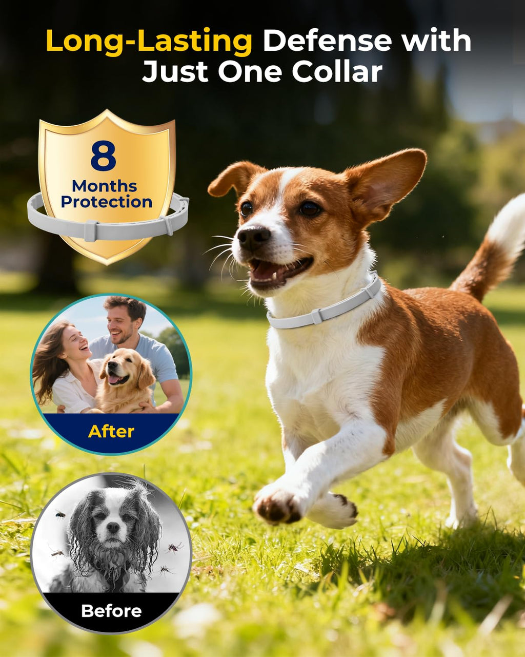 4 Pack Flea and Tick Collar for Small Dogs Under 18 lbs R7772