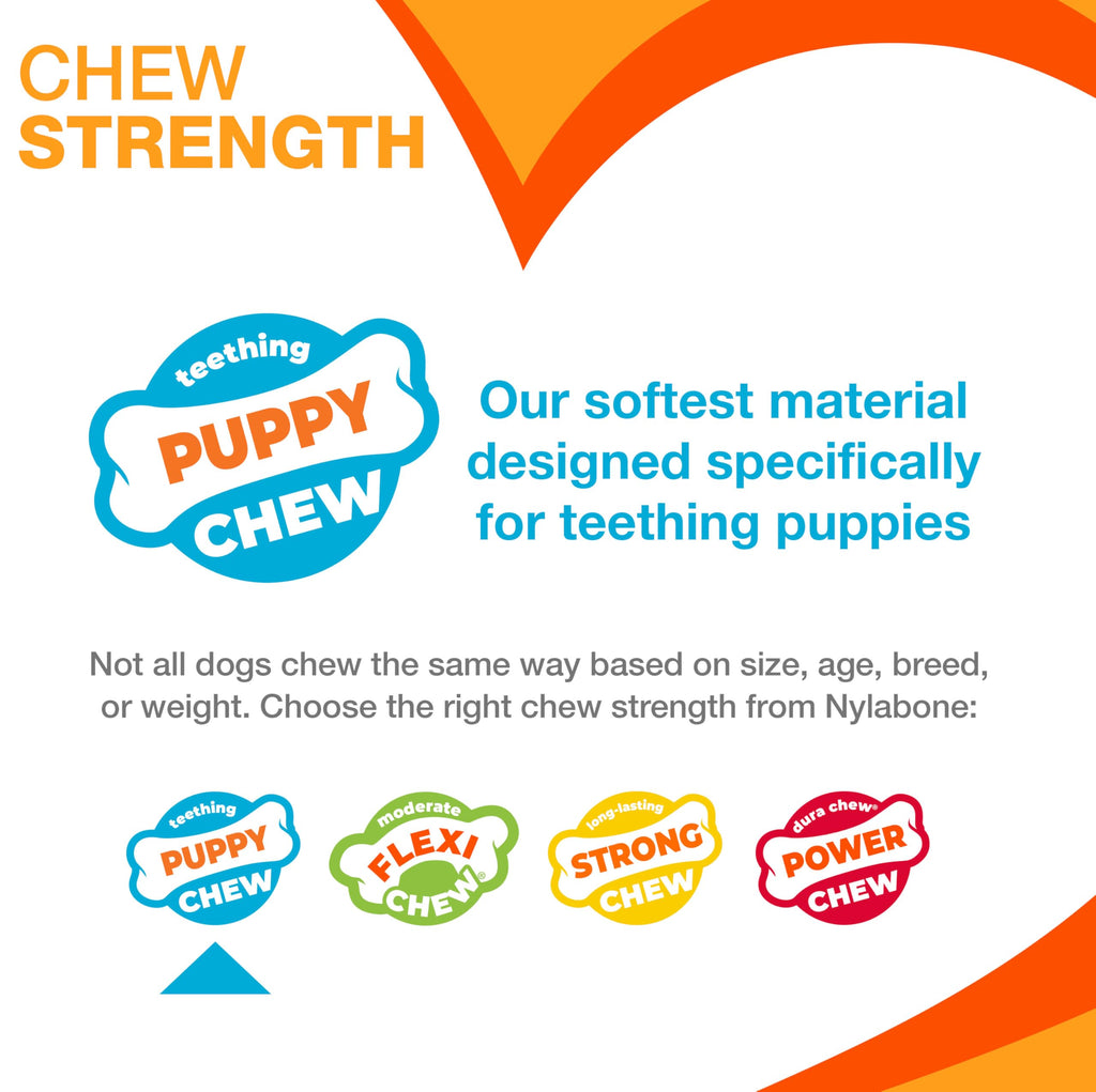 Chicken Flavor X-Small Dog Chew Toy K6689