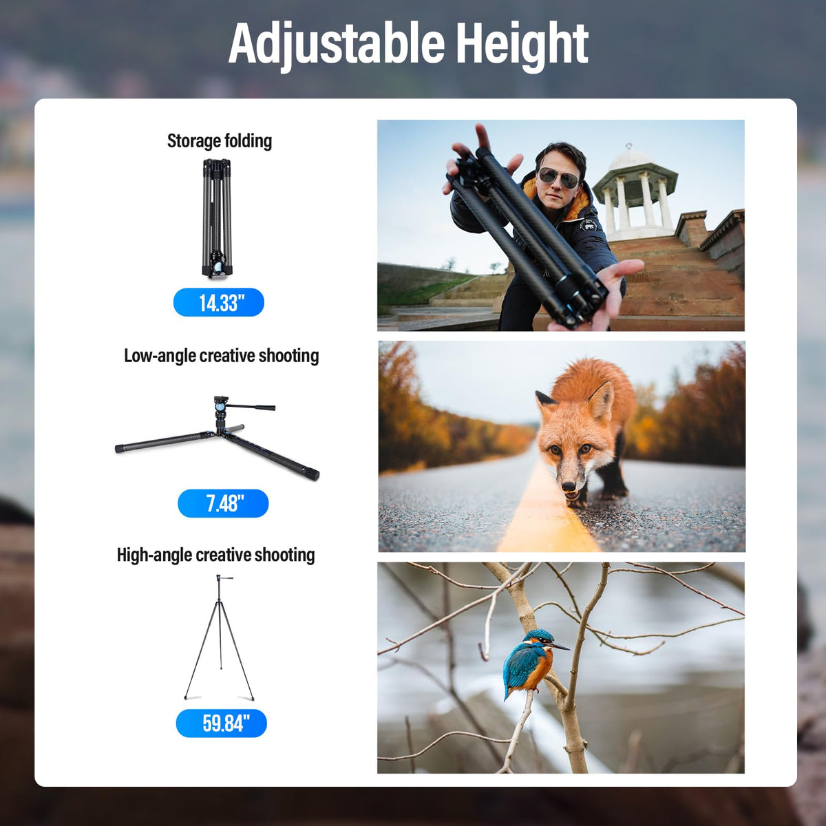 Carbon Fiber Tripod with Panoramic Fluid Head S177