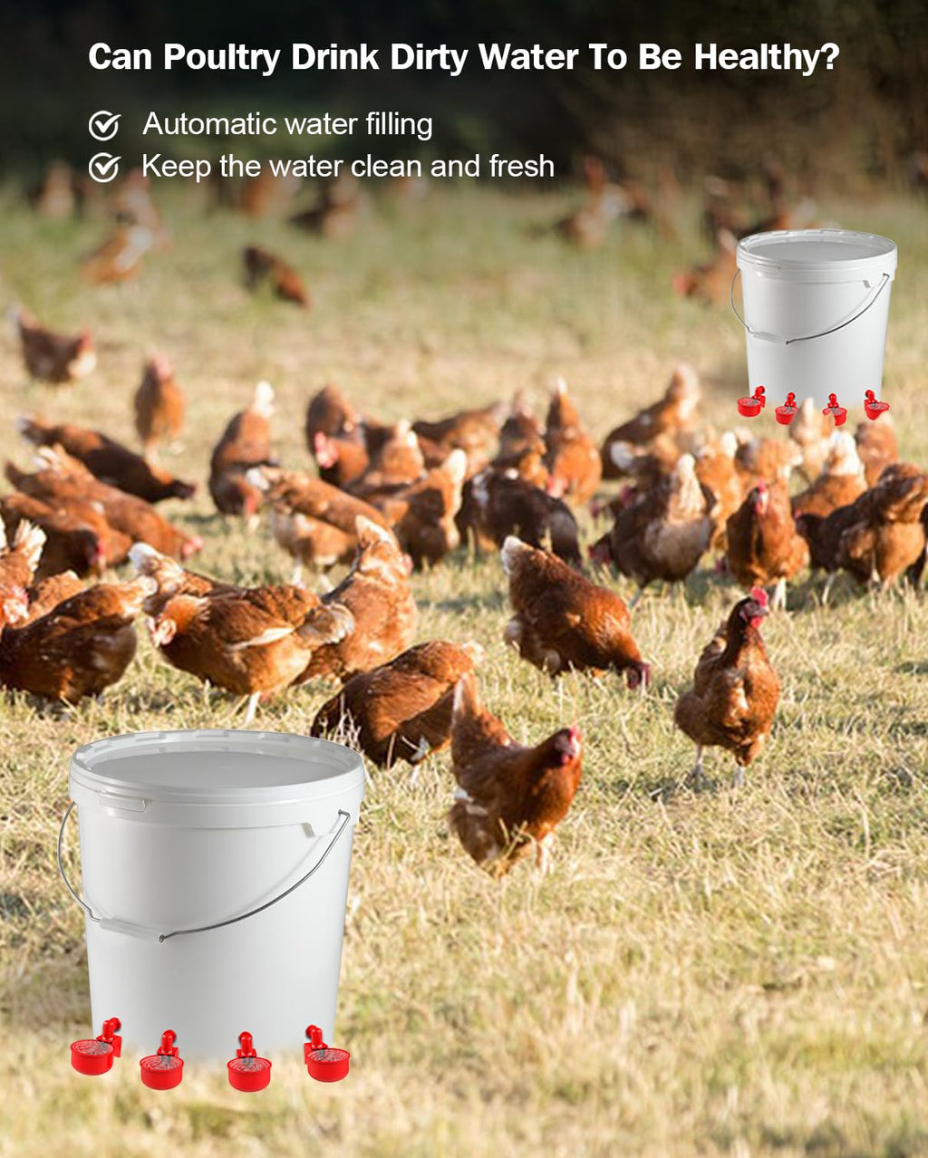 30 Packs Large Automatic Poultry Water Feeder Cups with Tee Fittings L368771