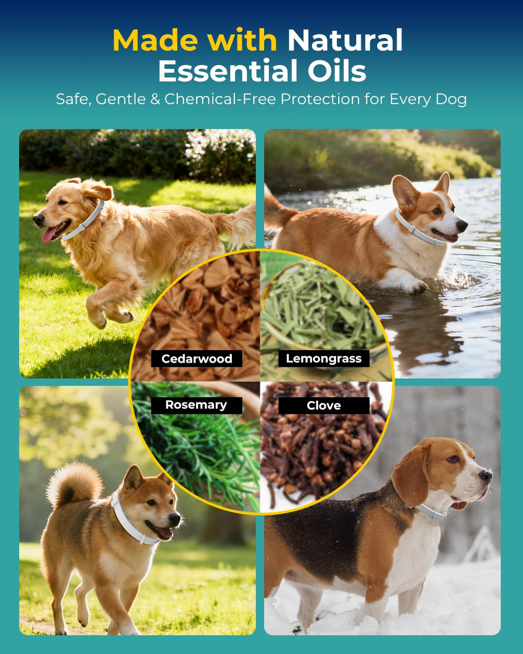 4 Pack Flea and Tick Collar for Small Dogs Under 18 lbs R7772