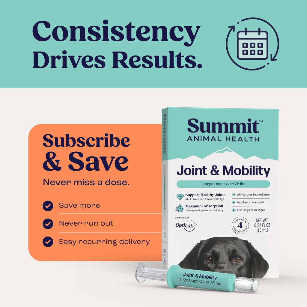 Liquid Joint and Mobility Supplement for Large Dogs G2870