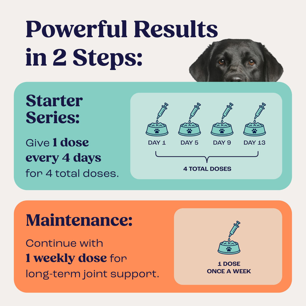 Liquid Joint and Mobility Supplement for Large Dogs G2870