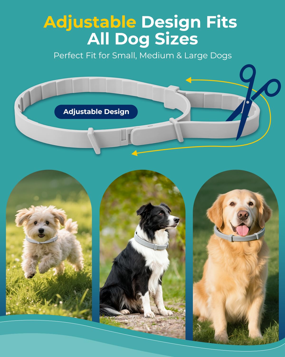 4 Pack Flea and Tick Collar for Small Dogs Under 18 lbs R7772