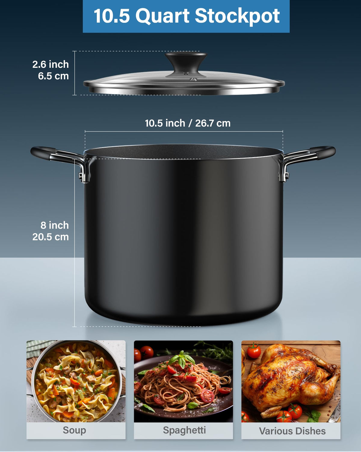 10.5 Quart Non Stick Stock Pot with Lid L619