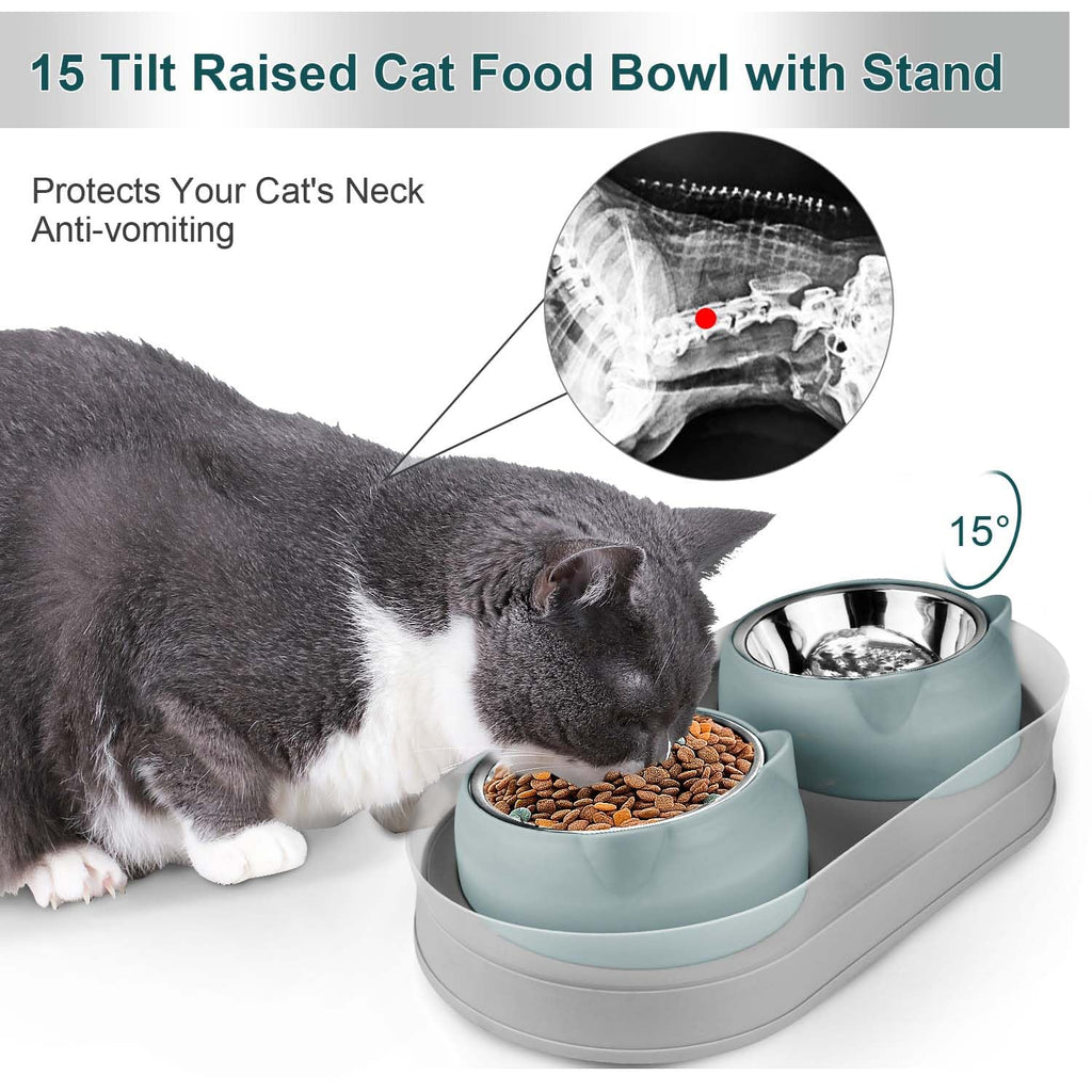 Tilted Stainless Steel Cat Food and Water Bowl Set G7402