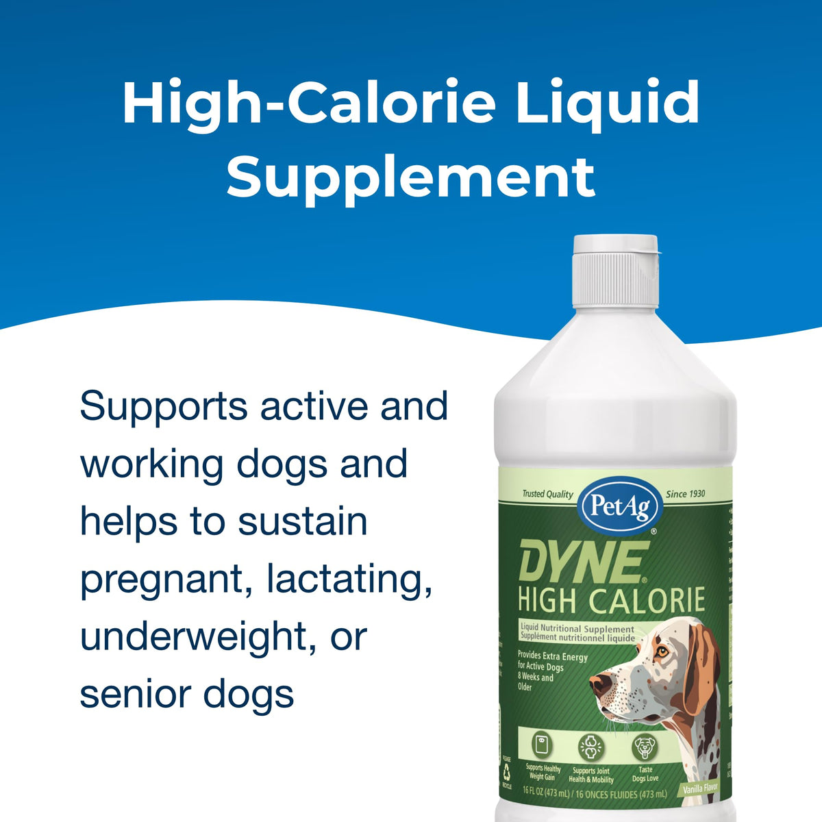 High Calorie Liquid Nutritional Supplement for Dogs & Puppies 16 oz M3718