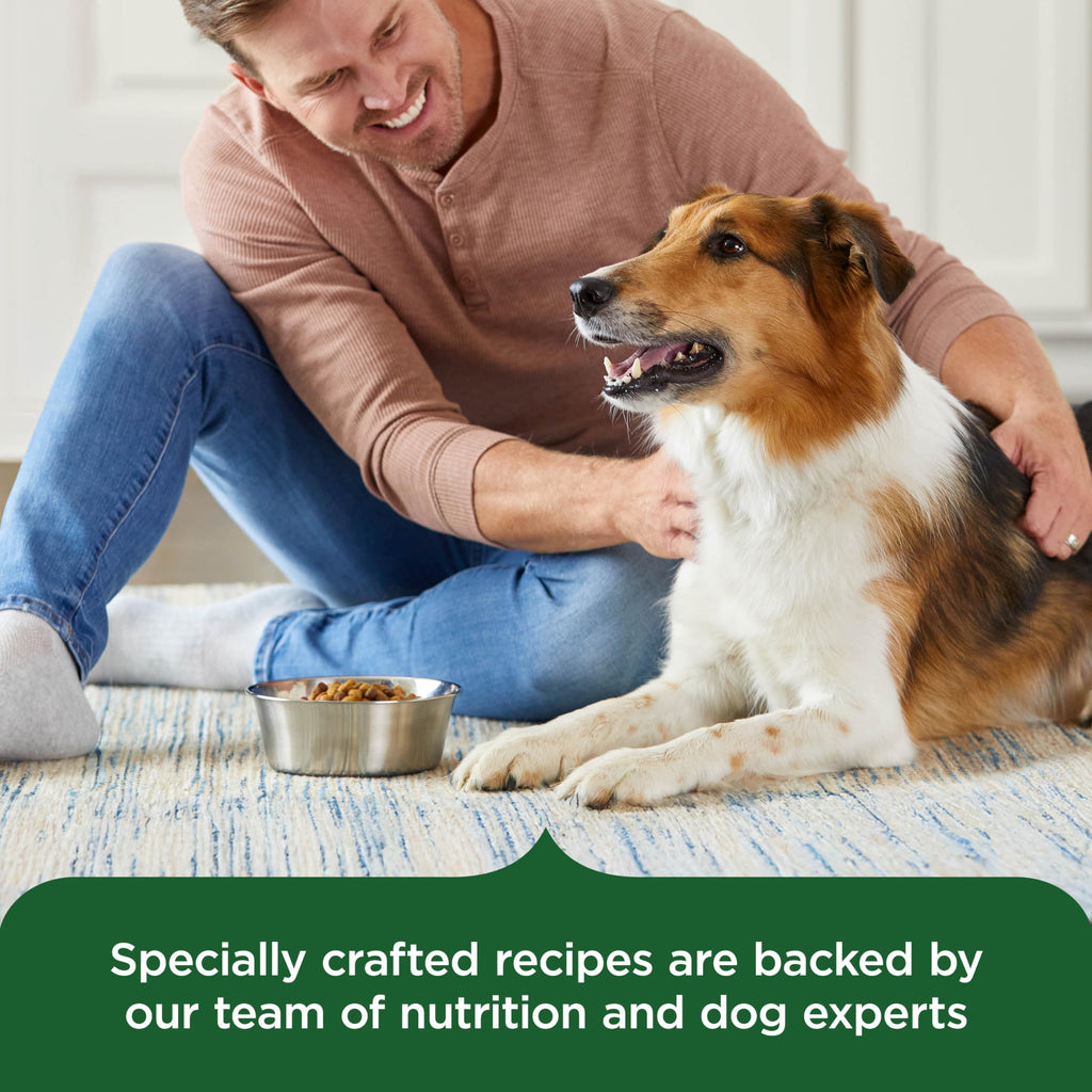 Dry Dog Food, Real Chicken & Veggies, 40 lb. Bag A1442