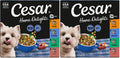 Adult Wet Dog Food Variety Pack 3.5 oz 24 Count X6150
