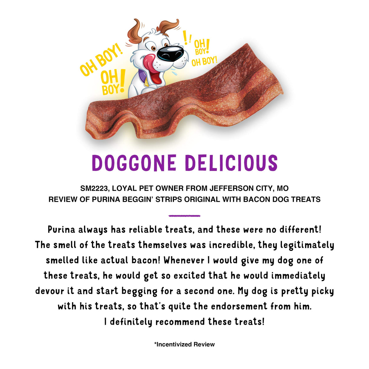 Dog Treats with Bacon 26 oz Pouches Y724502