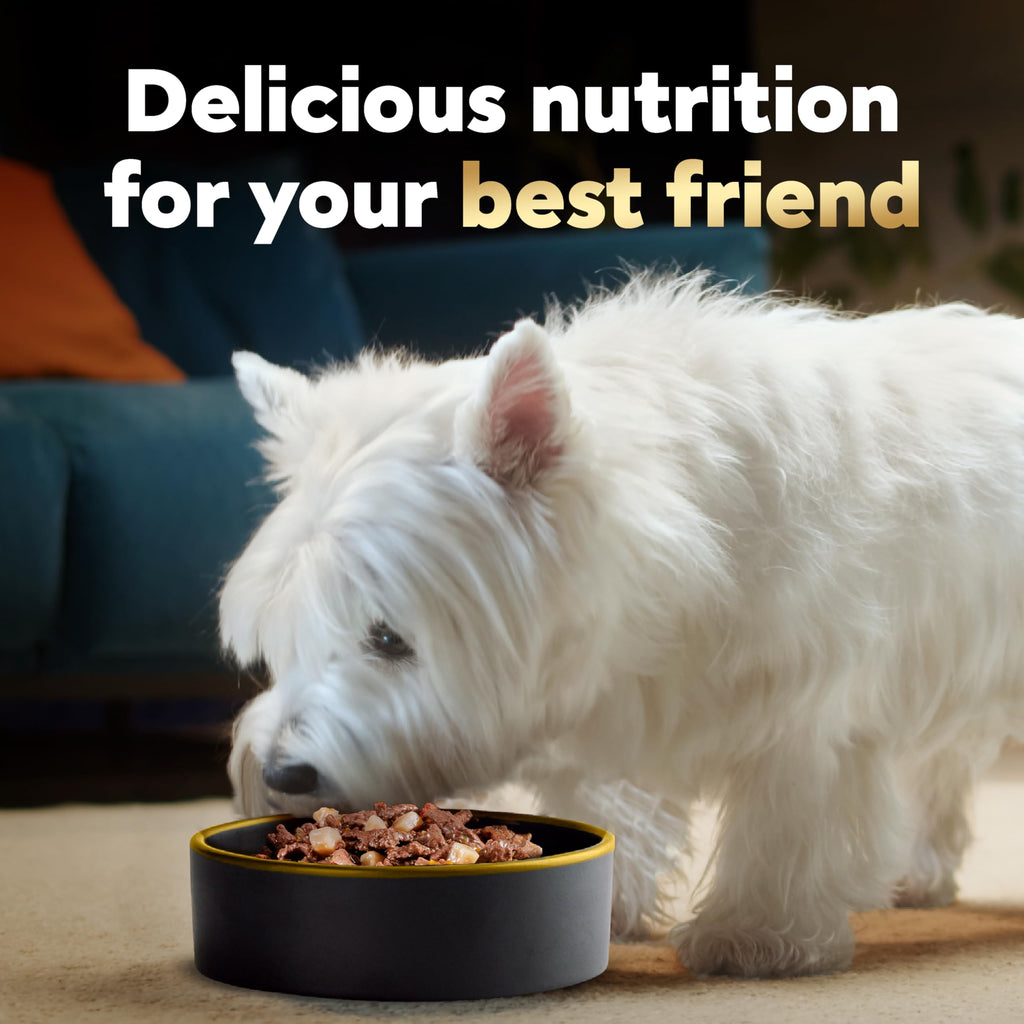 Adult Wet Dog Food Variety Pack 3.5 oz 24 Count X6150