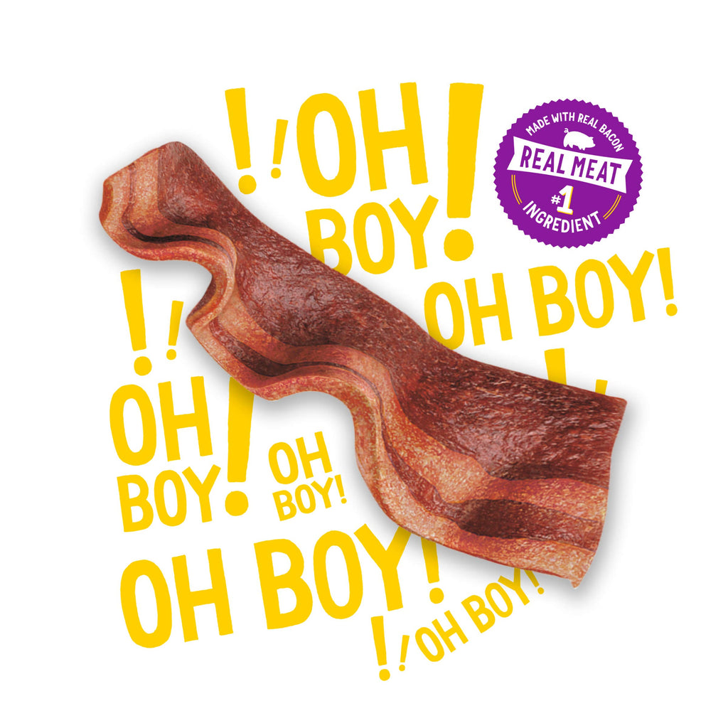 Dog Treats with Bacon 26 oz Pouches Y724502