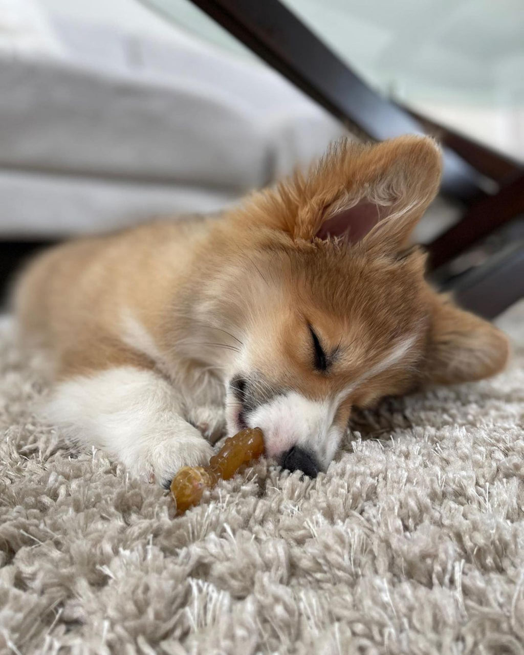 Chicken Flavor X-Small Dog Chew Toy K6689