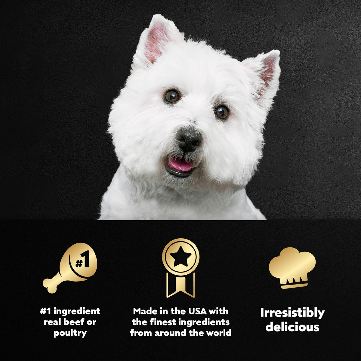 Adult Wet Dog Food Variety Pack 3.5 oz 24 Count X6150