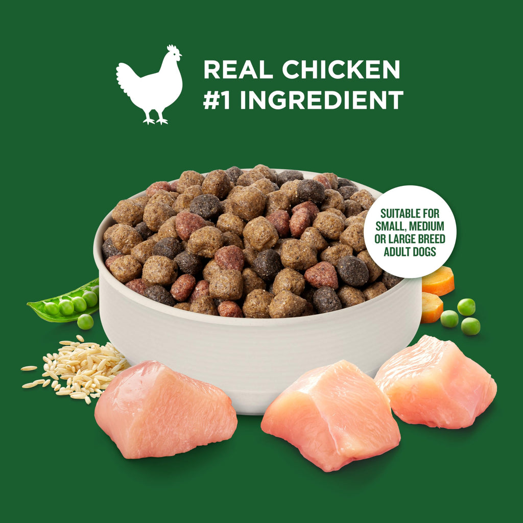 Dry Dog Food, Real Chicken & Veggies, 40 lb. Bag A1442