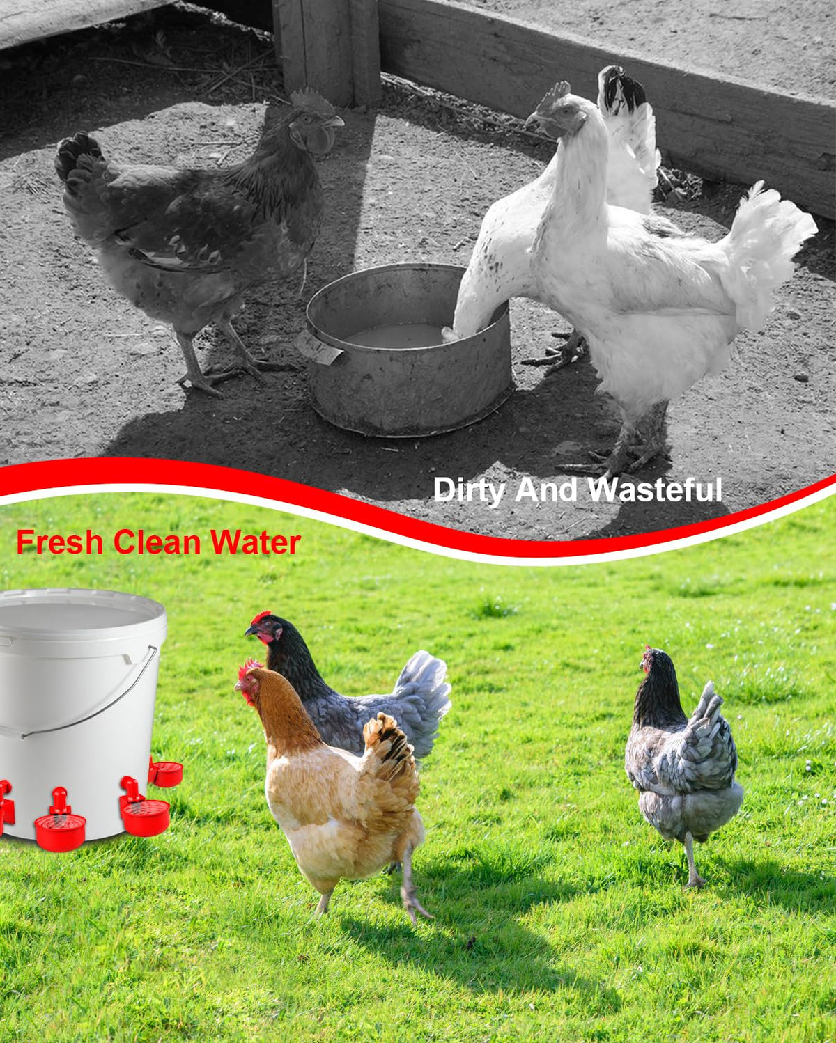 30 Packs Large Automatic Poultry Water Feeder Cups with Tee Fittings L368771