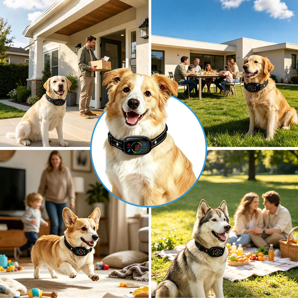 Rechargeable Dog Bark Collar with 3 Beep & Vibration Modes Z295