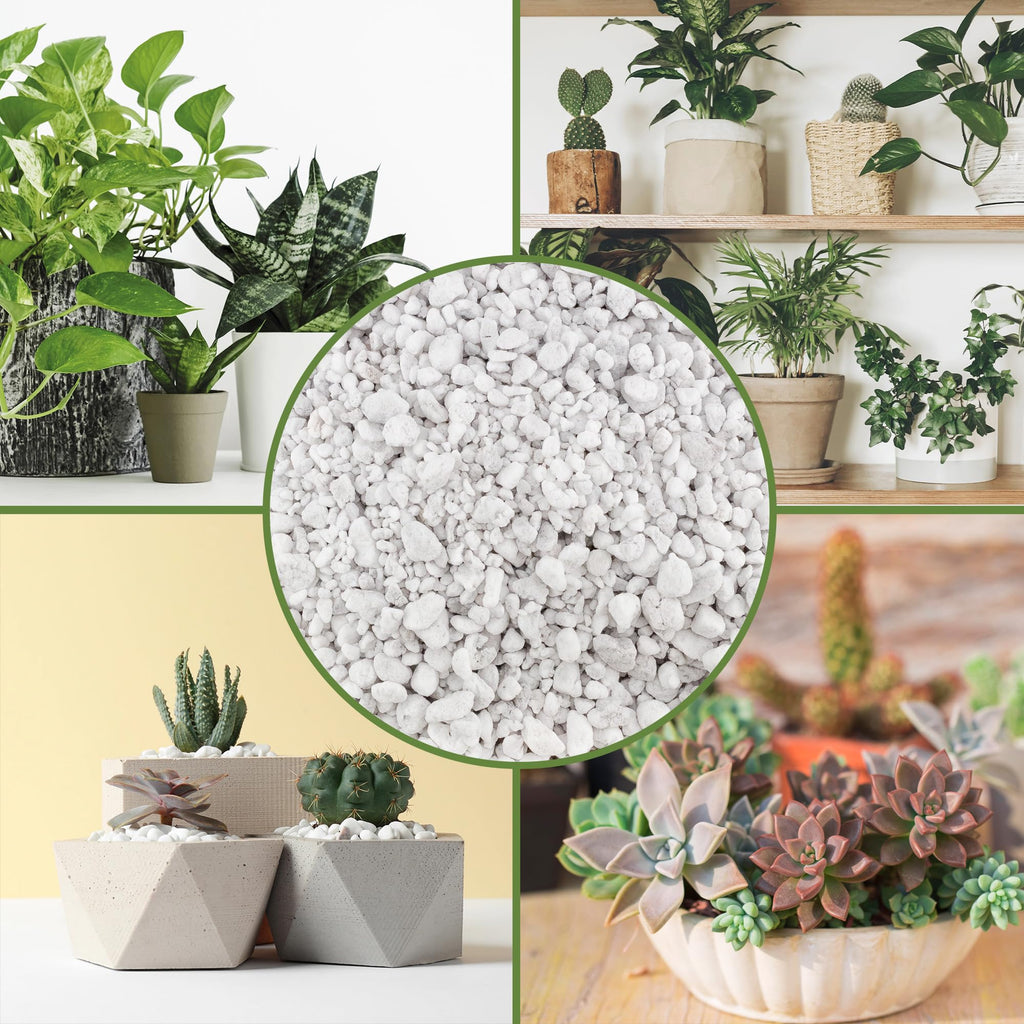 Coarse Perlite for Plants 30 Quarts N410
