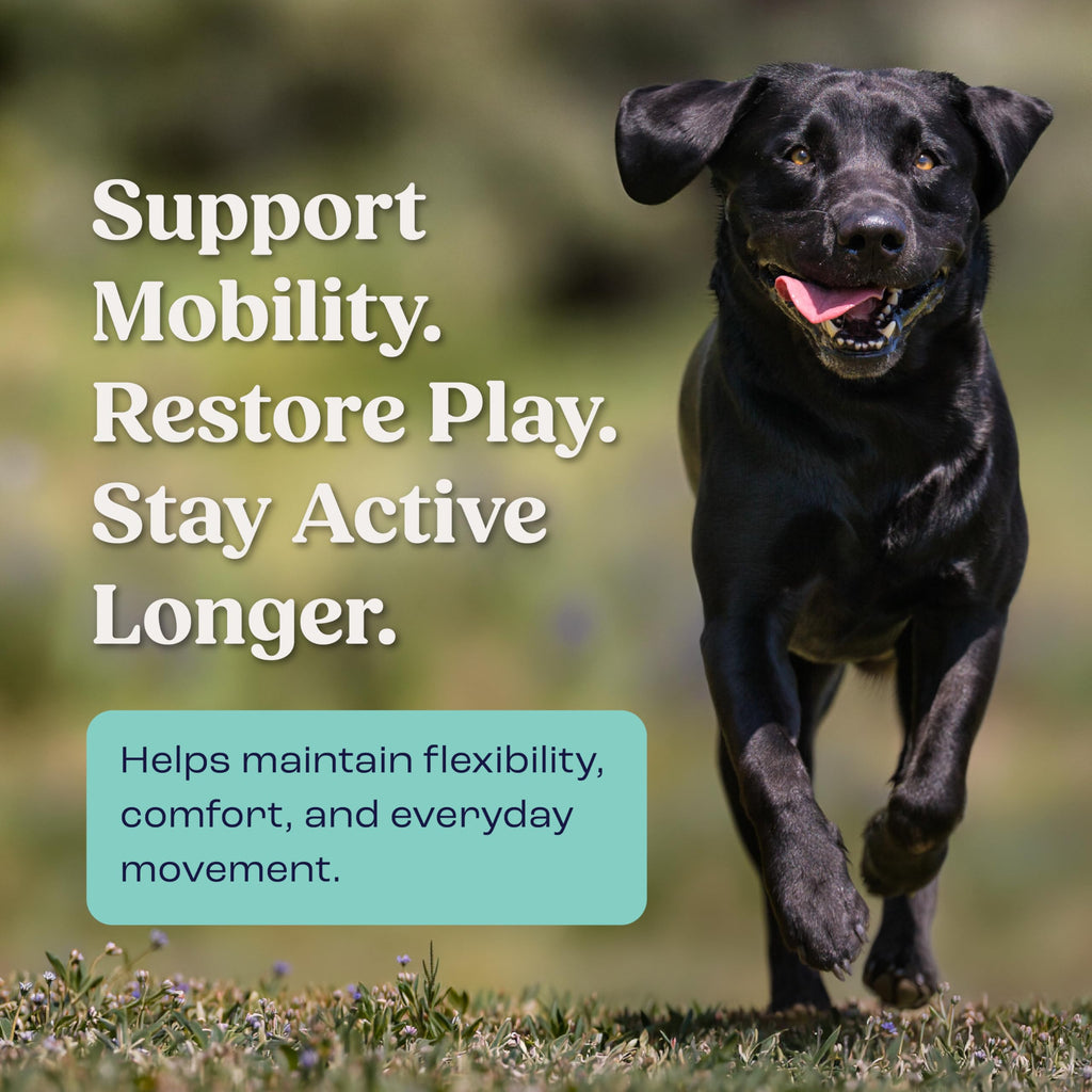 Liquid Joint and Mobility Supplement for Large Dogs G2870
