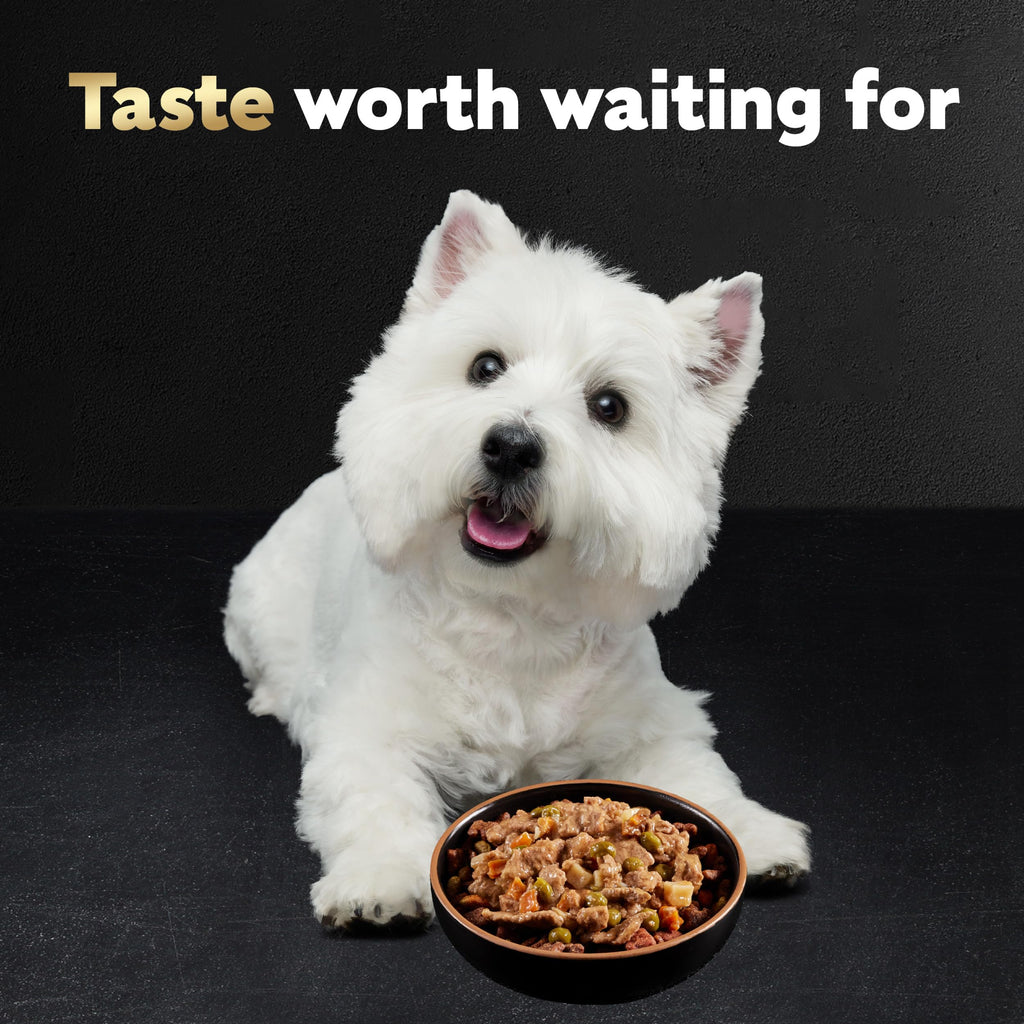 Adult Wet Dog Food Variety Pack 3.5 oz 24 Count X6150